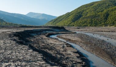 Bay Area Experiences Driest March In A Century, Echoing Historic Drought