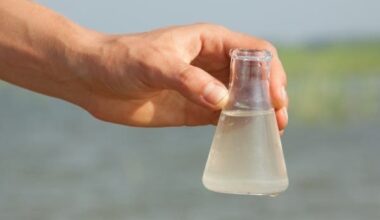 South Bay Residents Warned About Mother's Beach Bacteria