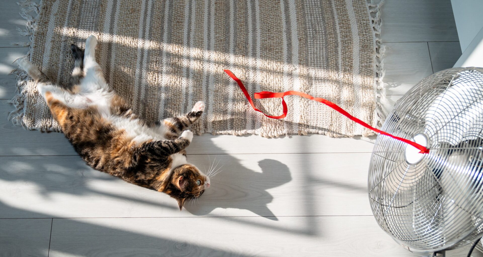 Southland Heat Persists Above Normal