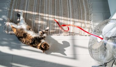 Southland Heat Persists Above Normal