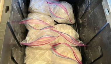 Twenty Arrested in Investigation Targeting Drug Trafficking