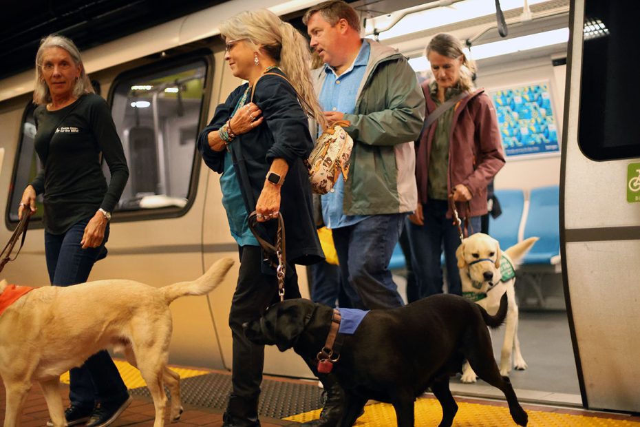 People with service dogs exit a BART train onto a platform.
