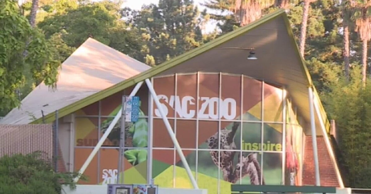 Sacramento leaders to vote on entering negotiations to explore zoo expansion