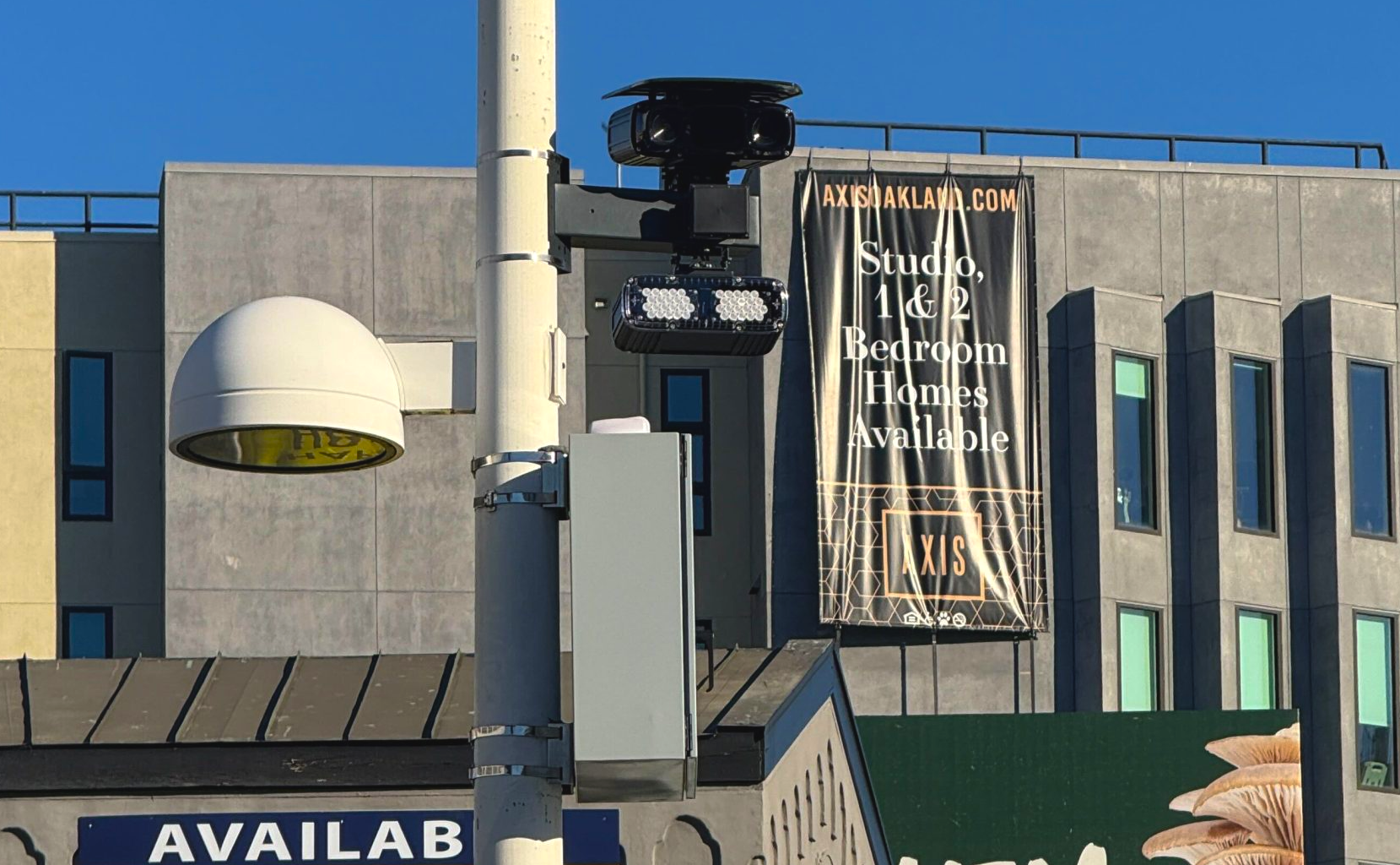 Which Oakland streets saw the most speed camera warnings?