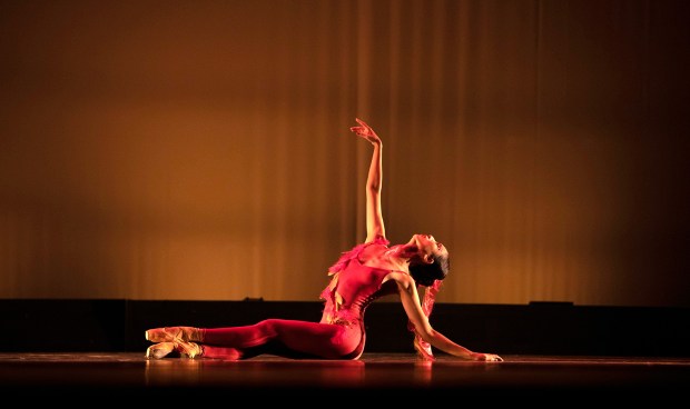 Sumire Ito performs Elizabeth Wistrich's "The Firebird," which will be presented as part of City Ballet of San Diego's The Firebird" spring dance concert on May 2 and 3 in Escondido. (Chelsea Penyak)
