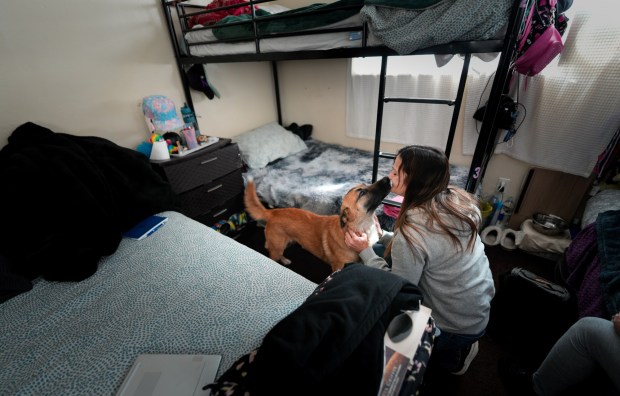Julie Jordan, 45, checks in on her dog, Koa, who sleeps with her next to her bed. Jordan is a client living at one of Heather Newhart's emergency housing in San Diego. (Nelvin C. Cepeda / The San Diego Union-Tribune)