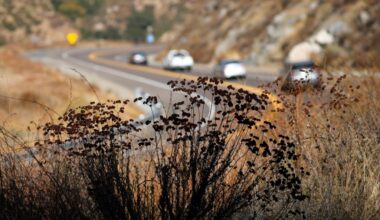 Santa Ana winds help set record highs in San Diego, Oceanside and Chula Vista – San Diego Union-Tribune