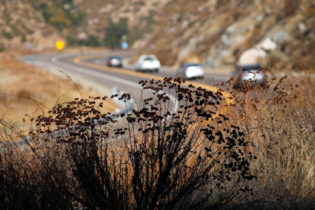 Santa Ana winds help set record highs in San Diego, Oceanside and Chula Vista – San Diego Union-Tribune