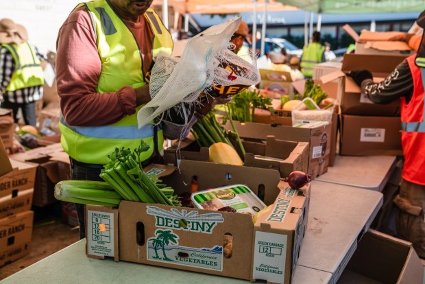 Some of the items that are given out are produce, cereal, jam, turkey, fish, Tilapia Cubes at the food distribution  at  Iglesia Casa de Alabanza in City Heights on March 26, 2026. (Ariana Drehsler / For The San Diego Union-Tribune)