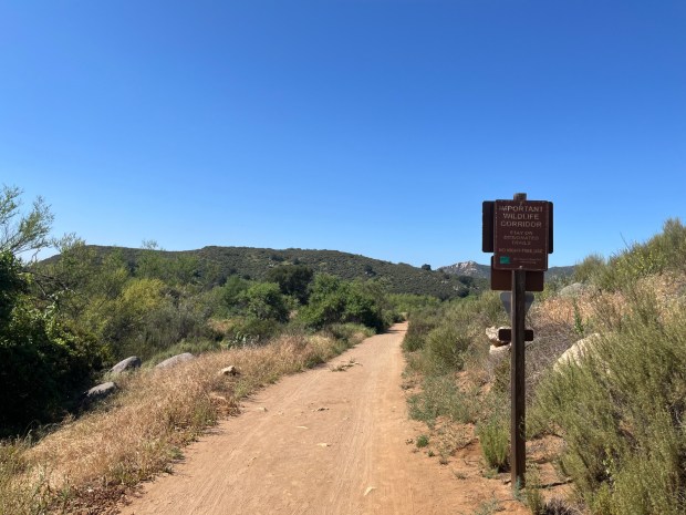 The Coast to Crest Trail, heading west, is exposed to the sun. (Maura Fox / The San Diego Union-Tribune)