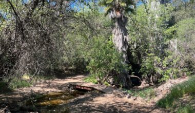 The Coast to Crest Trail makes for a sunny stroll along Lake Hodges – San Diego Union-Tribune