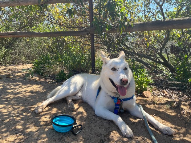 Elio takes a break on the trail. (Maura Fox / The San Diego Union-Tribune)