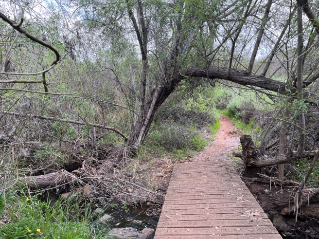 A wooden bridge crosses over the water on the Copper Creek Trail. (Maura Fox / The San Diego Union-Tribune)