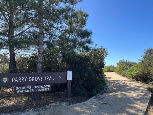 The Parry Grove Trail is located just south of the Guy Fleming Trail. (Maura Fox / The San Diego Union-Tribune)
