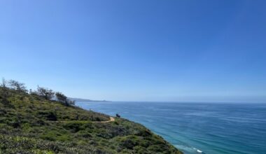 Trails at Torrey Pines are open again – San Diego Union-Tribune