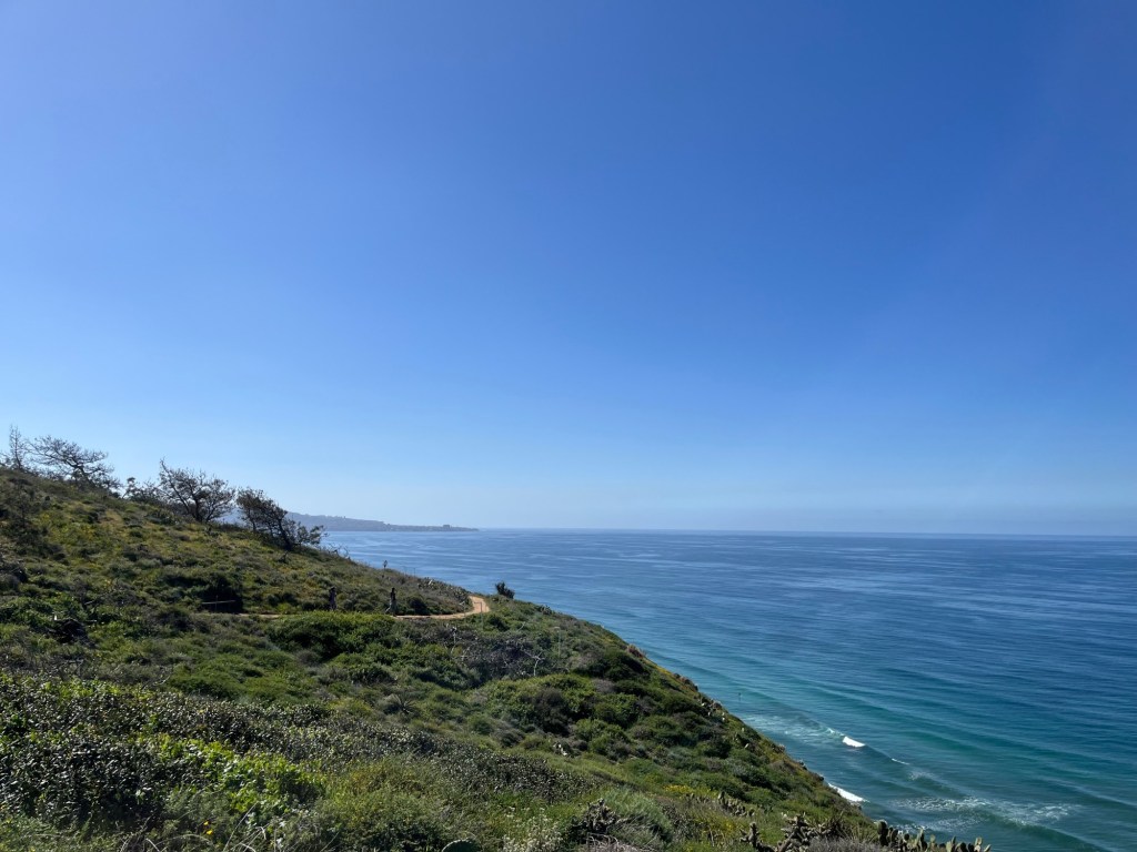 Trails at Torrey Pines are open again – San Diego Union-Tribune