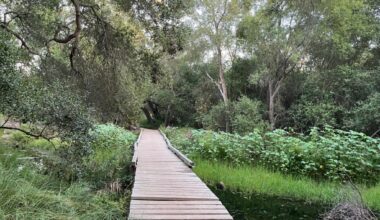 Celebrate spring with these 5 San Diego County nature preserves – San Diego Union-Tribune