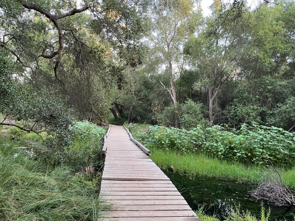 Celebrate spring with these 5 San Diego County nature preserves – San Diego Union-Tribune