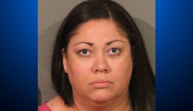 California nanny allegedly abused child in park, was on multiple childcare apps, police say