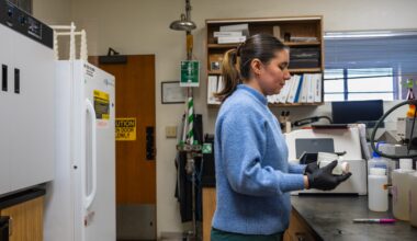 'Forever chemicals' in Sweetwater Authority’s water: what to know