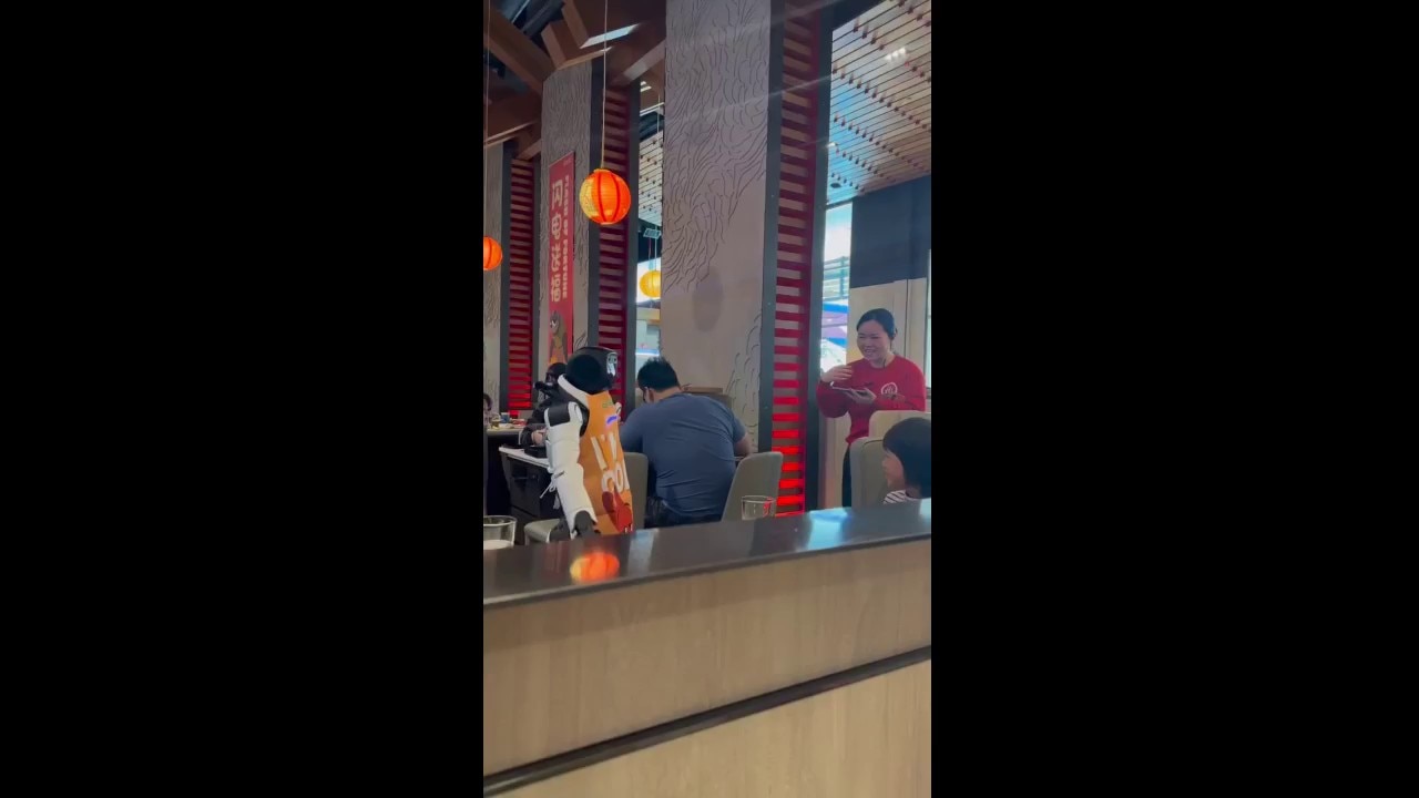 Staff at Cupertino restaurant struggle to constrain dancing robot