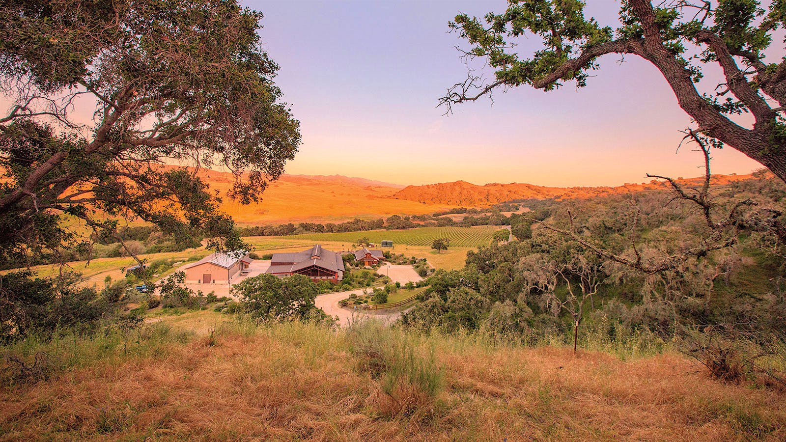 8 Top California Pinot Noir Values to Drink Now