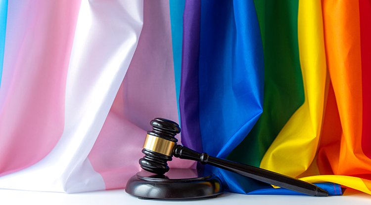 rainbow flag and gavel