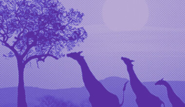 Sacramento Business Owner Stranded in South Africa Amid Global Airspace Closures