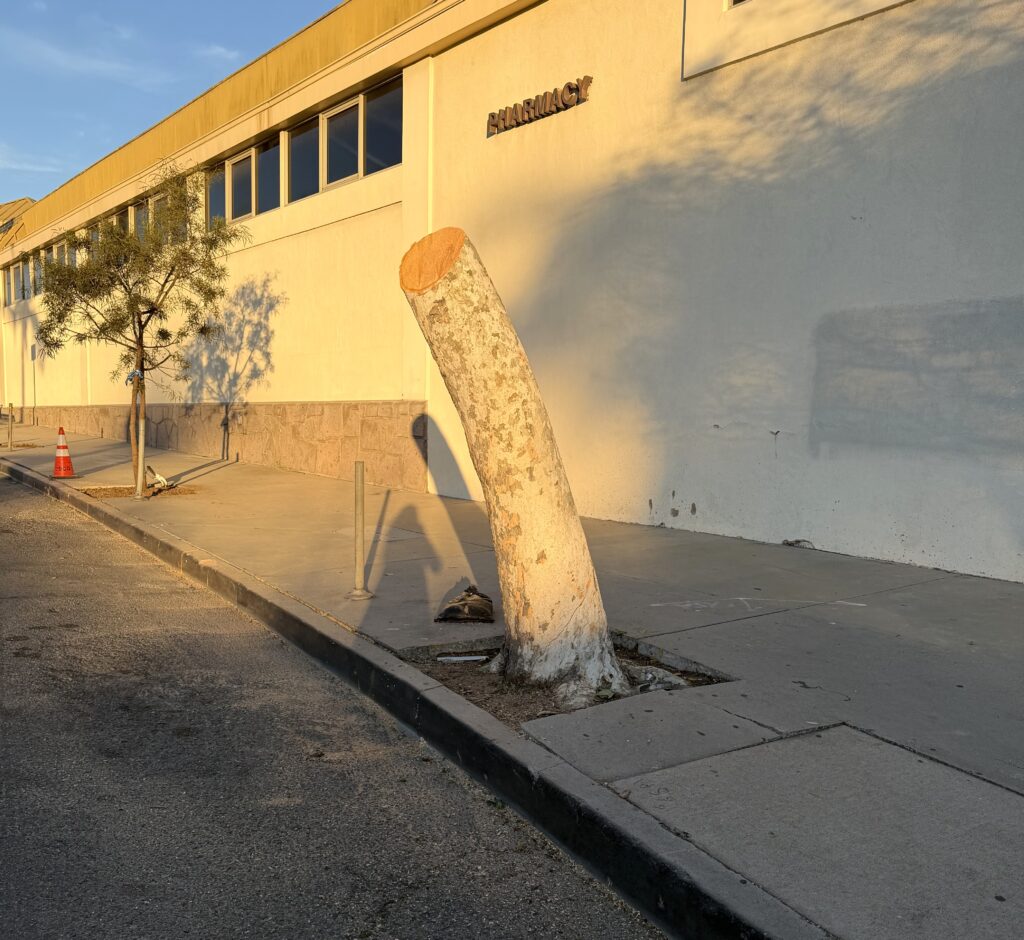 City Gives Residents the Finger