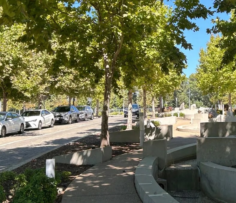 City and County collaborate to mitigate extreme heat