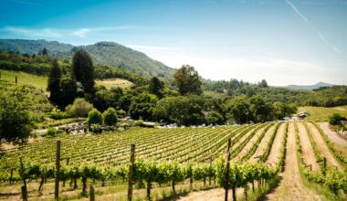 Less Than Two Hours From San Francisco, This Hidden Wellness Gem Offers Secret Geothermal Pools And A 40,000-Square-Foot Spa Fed By Natural Springs