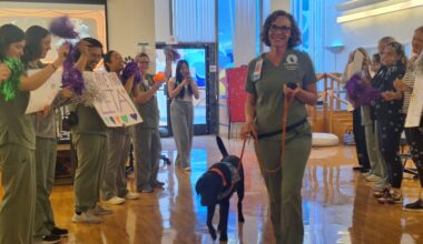 Beloved facility dog Zeta celebrated at retirement “Pawty” after bringing smiles, hope to patients at Miller Children’s & Women’s Hospital