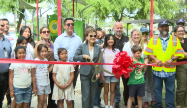 Parents of children with special needs celebrate secure fencing at Wilson Park