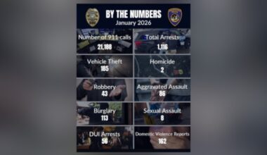 Newly added categories spotlight 2025 trends