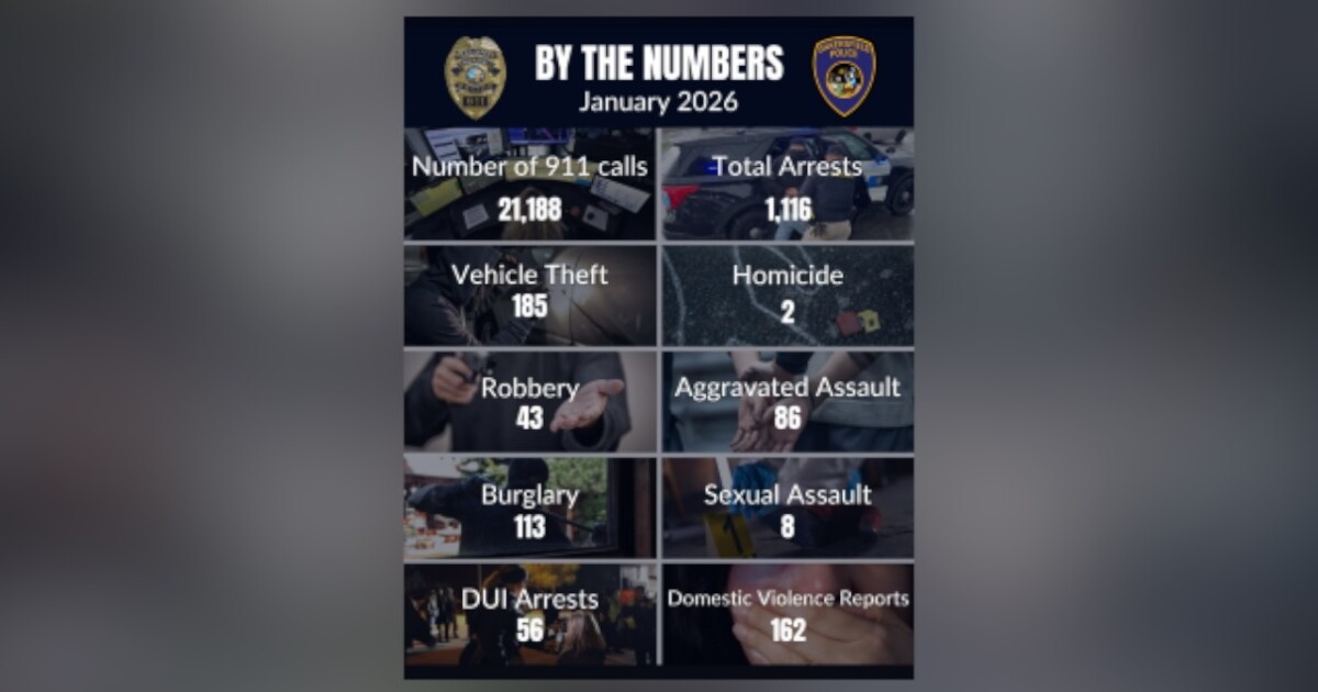 Newly added categories spotlight 2025 trends