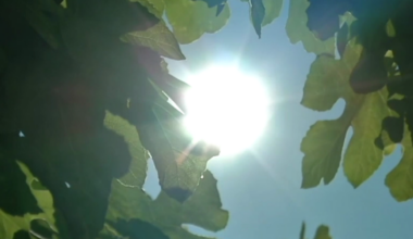 Record March heat wave to scorch San Diego County