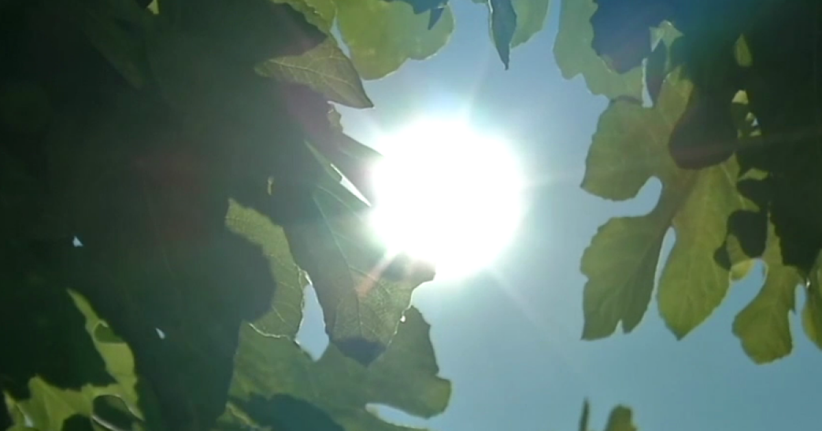 Record March heat wave to scorch San Diego County