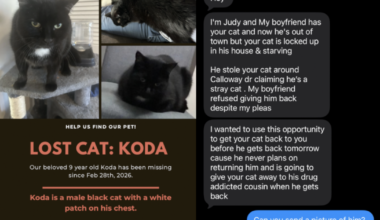 Scammers are targeting pet owners with missing animals