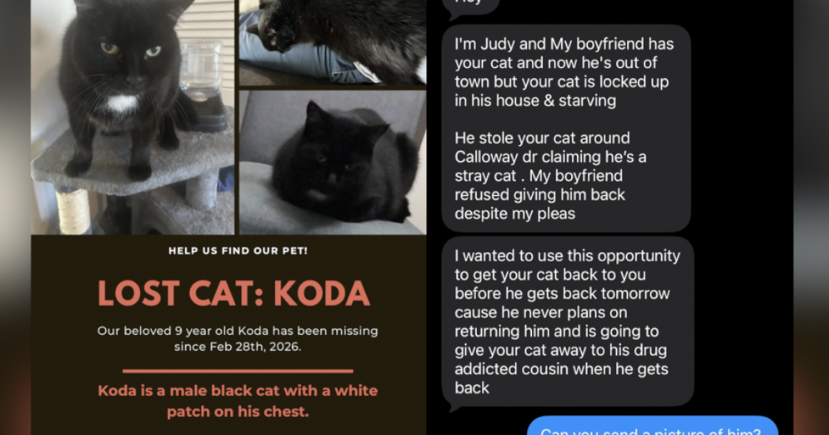 Scammers are targeting pet owners with missing animals