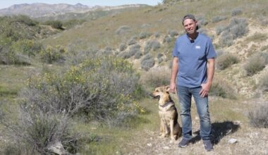 Bakersfield man reunited with service dog after car theft