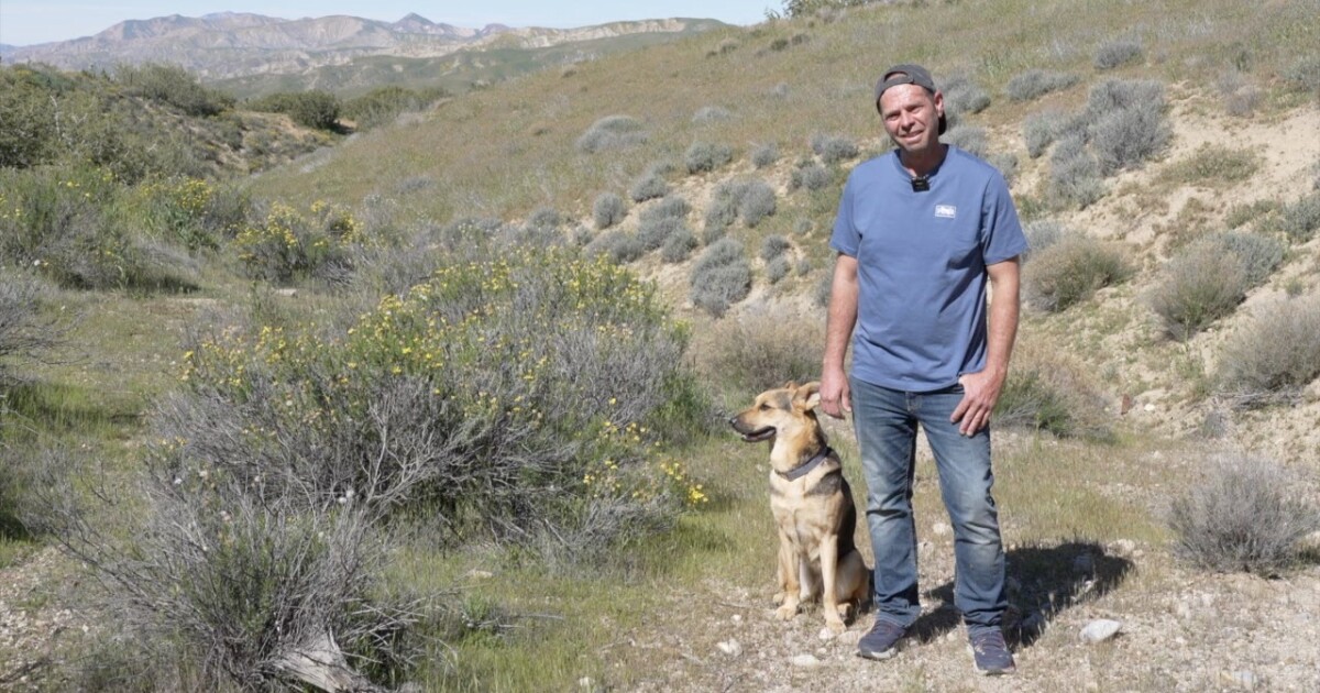 Bakersfield man reunited with service dog after car theft