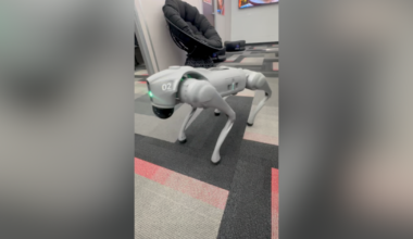 McFarland High’s Student Wellness Center helping students manage stress