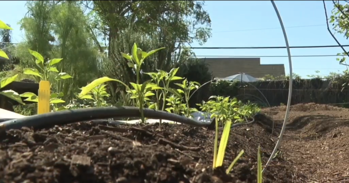 San Diego community garden cuts ties with Cesar Chavez to honor Dolores Huerta