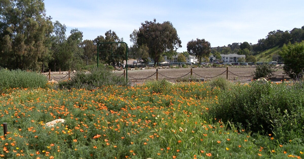 How Paradise Hills residents turned a former landfill into a native garden