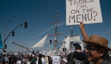 Record attendance at San Diego County No Kings protests