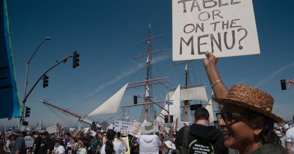 Record attendance at San Diego County No Kings protests