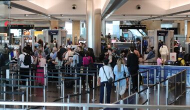 Unpaid TSA workers staff San Diego airport as paid ICE agents arrive at others