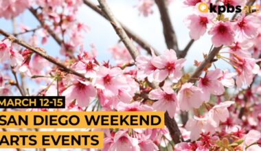 San Diego weekend arts top picks: A birding hut, water dance and cherry blossoms