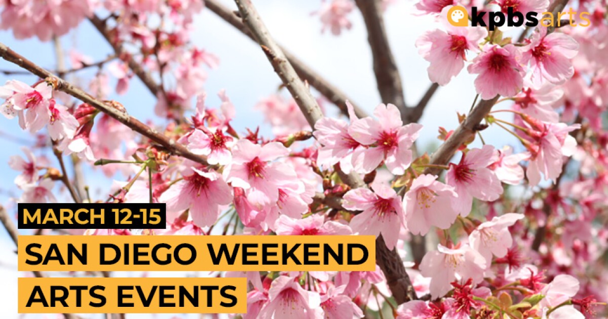 San Diego weekend arts top picks: A birding hut, water dance and cherry blossoms