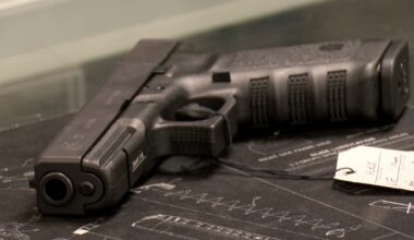 Have you purchased a gun in the last year?